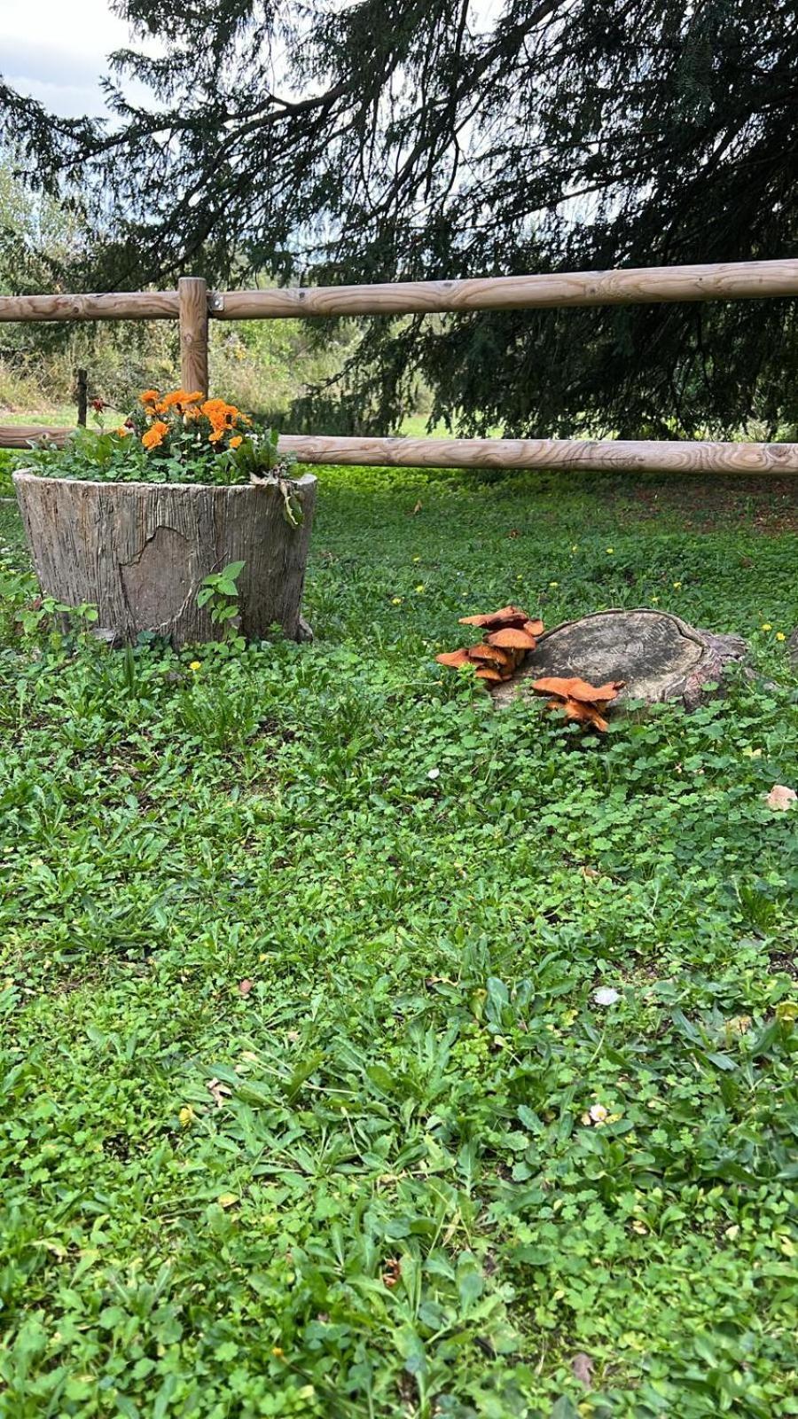Ca L'Herbolari Viladrau Bagian luar foto
